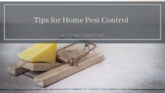 Tips For Home Pest Control Avraham Glattman
